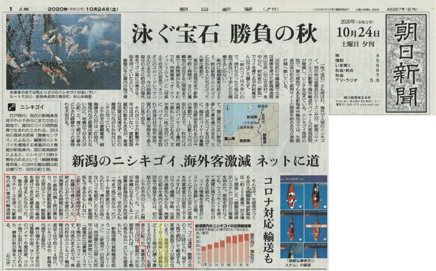 朝日新聞(新潟版)』夕刊に当社の錦鯉専用輸送容器「B 朝日新聞新潟朝刊 28(金)